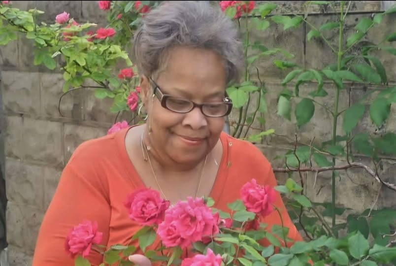 Sharon Henry Death, Obituary, Chicago, IL